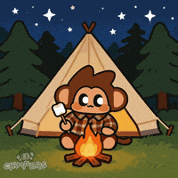 Camping Good Night GIF by Chimpers