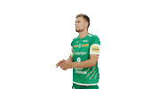 Team Handball Sticker by SCDHFK