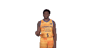 Liga Endesa Basketball Sticker by ACB