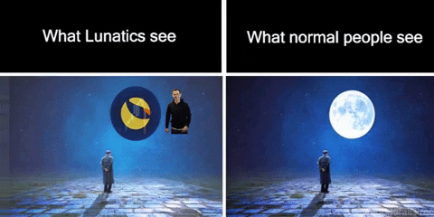 gonefamous giphygifmaker giphyattribution terra luna luna crash meme GIF