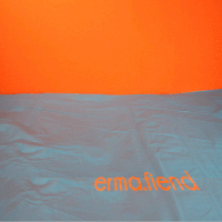 stop motion animation GIF by erma fiend