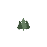 oladalek forest peaceful meditate oladalek Sticker