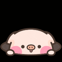 Happy Pig GIF