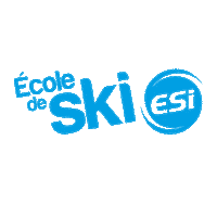 esi-ecoledeski esi esiski ecoledeski esiecoledeski Sticker