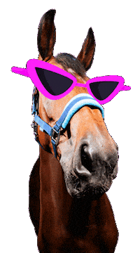 Sassy Sunglasses Sticker by hooved