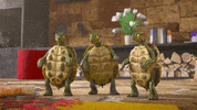 Not Me Turtles GIF by MightyMike
