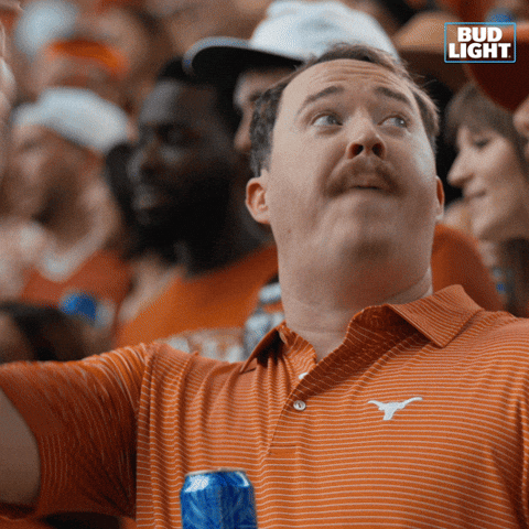 Beer GIF by Bud Light