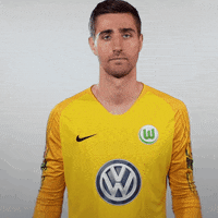 World Cup Football GIF by VfL Wolfsburg