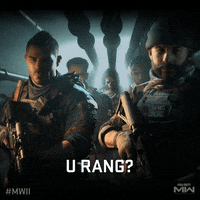 You Rang Fps GIF by Call of Duty