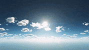 Window GIF by Still Woozy