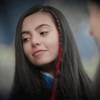 Tozkoparan Iskender GIF