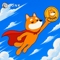 Crypto Web3 GIF by BONK