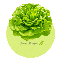 Expression Vegetable Sticker by Lomme Primeurs