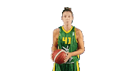 Basket Sticker by CB Alqazeres