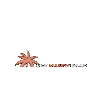 metmandynaarcuracao curacao reismagazine metmandynaarcuracao mandyvanwillegen Sticker