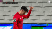 Sl Benfica Thumbs Up GIF by Sport Lisboa e Benfica