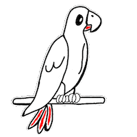 Parrot Nft Sticker by Digital Pratik