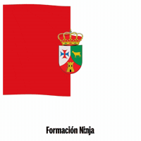 Castilla-La Mancha Flag GIF by Formación Ninja
