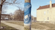 lastchancehigh viceland last chance high GIF