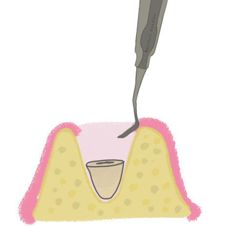 Dentist Odonto Sticker