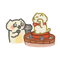Cat Coin Sticker