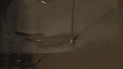 Food Vintage GIF by US National Archives