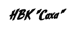 Nvk Sticker by nvkonline