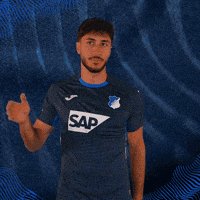 Sport Bundesliga GIF by TSG Hoffenheim