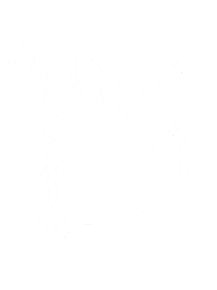 Aeistolidia Sticker by REDIRECT