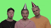 liimo birthday happy birthday hbd limo GIF