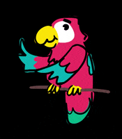 Macaotech tech education software development GIF