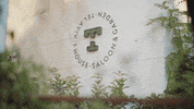 Tel Aviv Bar GIF by drinkTLV