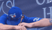 Happy Blue Jays GIF by Toronto Blue Jays