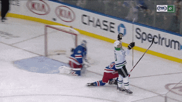 FOXSportsSW celebrate goal hockey nhl GIF