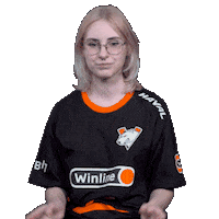 The Bears Esports Sticker by Virtus.pro