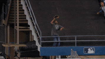 Major League Baseball Sport GIF by MLB