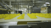 How Its Made Peeps GIF