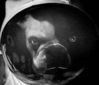 Vintagemusiclabel techno deep house vintage music stark d GIF