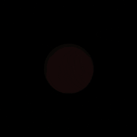 Mona Lisa GIF by joelremygif