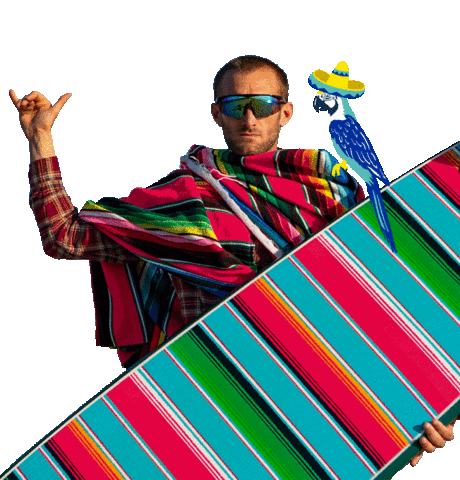 Hang Loose Cinco De Mayo Sticker by Catch Surf