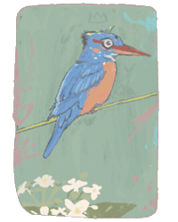 Nature Conservation Kingfisher Sticker