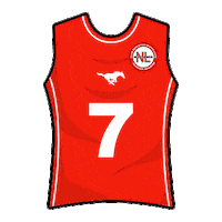 mustangsnl flagfootball tochito ifaf fmfa Sticker