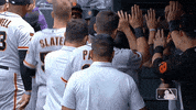 Major League Baseball Sport GIF by MLB