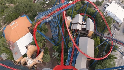 buschgardens giphyupload drop dive rollercoaster GIF