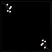 Naardenbussum GIF by Sharon's Boutique