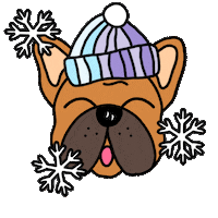 Dog Fun Sticker by Ivo Adventures