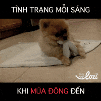 GIF by Lozi Singapore Co.
