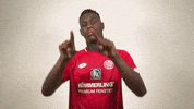 GIF by 1. FSV Mainz 05