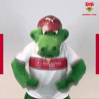 Bundesliga Fritzle GIF by VfB Stuttgart
