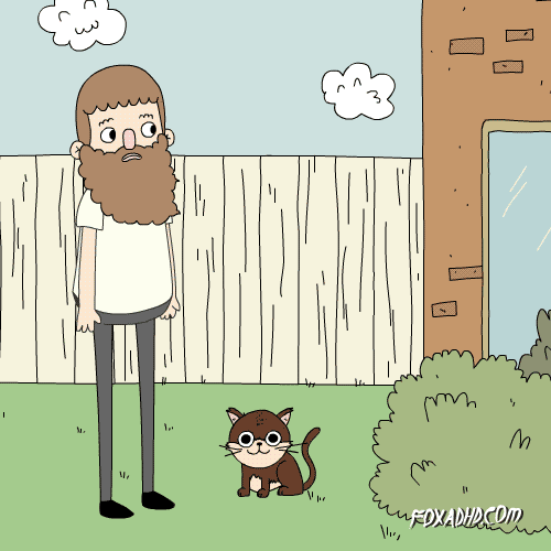 Animation Domination High Def GIF by gifnews